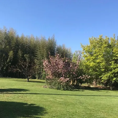 La Glycine, Dans Un Ecrin De Verdure Pres De La * Elne