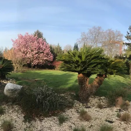 La Glycine, Dans Un Ecrin De Verdure Pres De La Prázdninový dům Elne