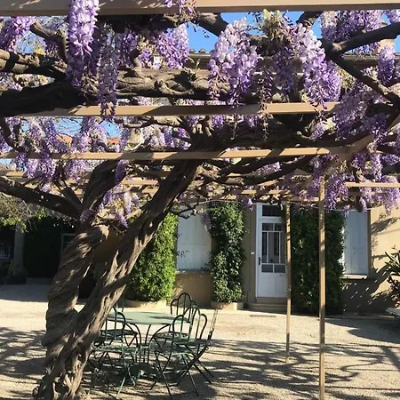 La Glycine, Dans Un Ecrin De Verdure Pres De La Prázdninový dům Elne