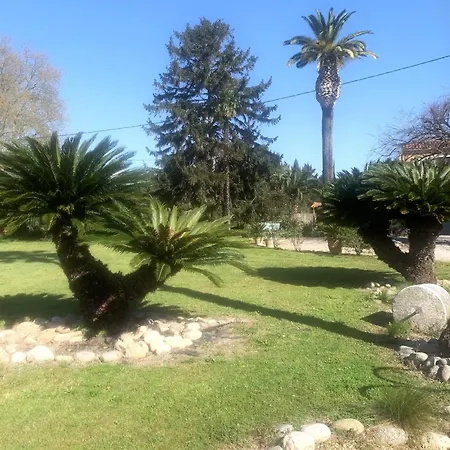 La Glycine, Dans Un Ecrin De Verdure Pres De La *