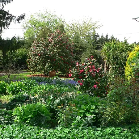La Glycine, Dans Un Ecrin De Verdure Pres De La * Elne