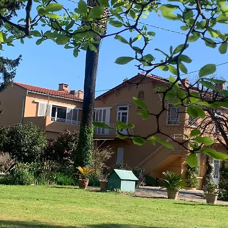 La Glycine, Dans Un Ecrin De Verdure Pres De La Prázdninový dům