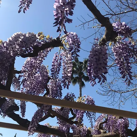 Prázdninový dům La Glycine, Dans Un Ecrin De Verdure Pres De La Elne