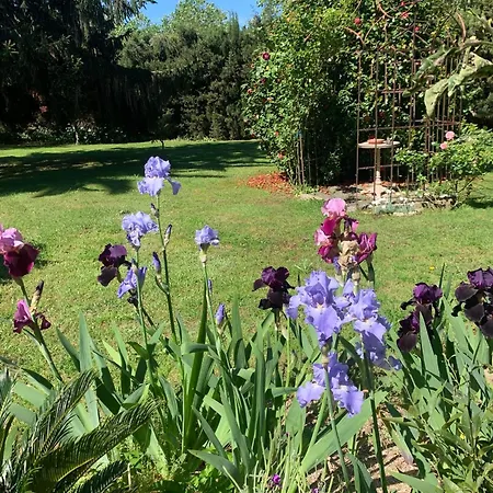 Σπίτι διακοπών La Glycine, Dans Un Ecrin De Verdure Pres De La