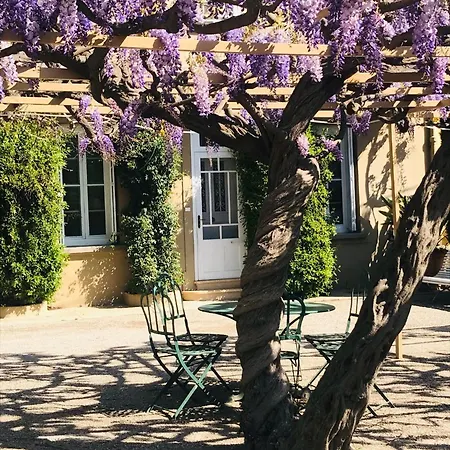 La Glycine, Proche Des Plages, à L'extérieur De La D'elne Elne